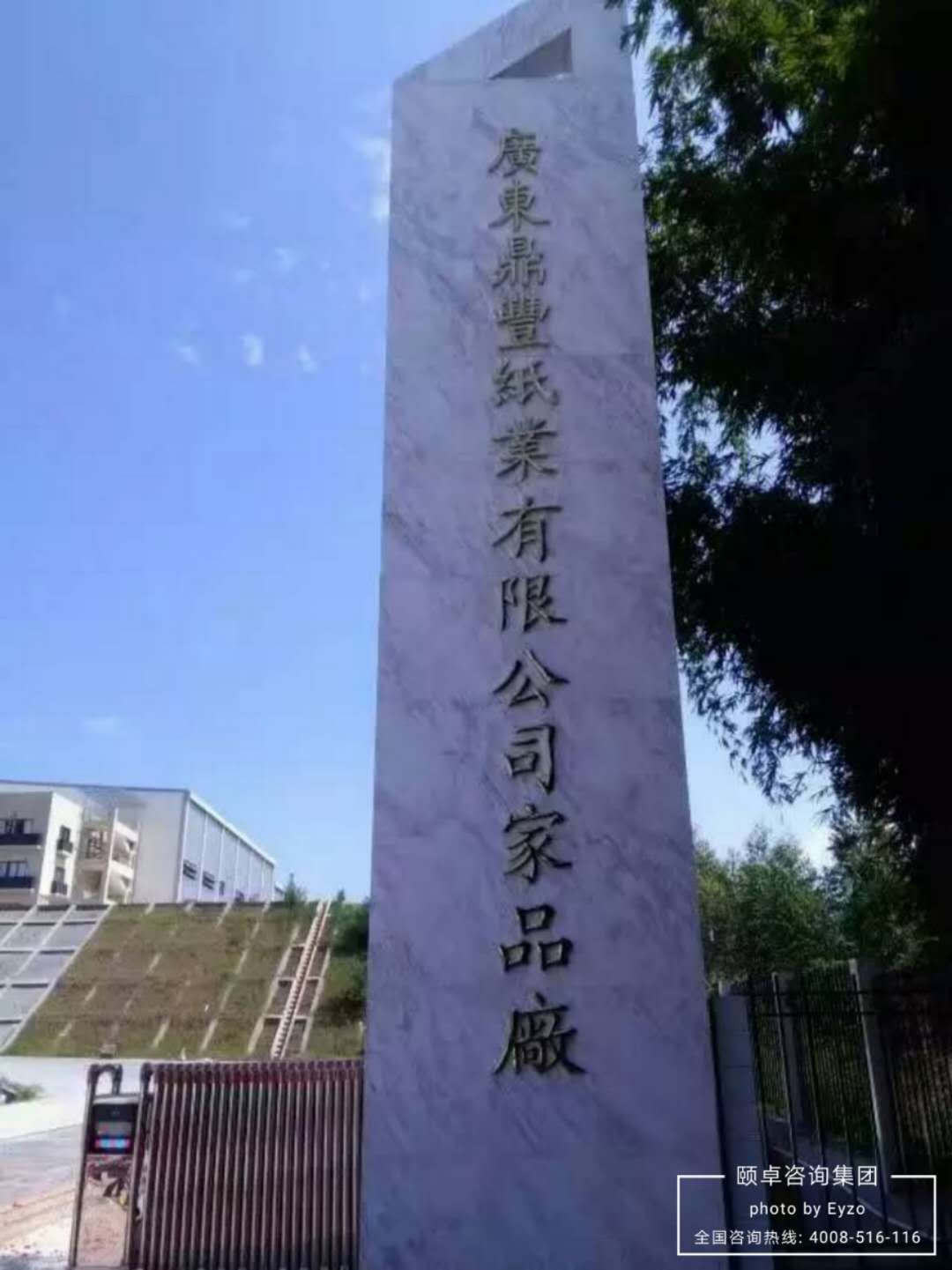 鼎丰纸业
