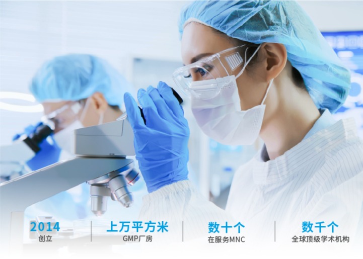 喜讯 | 祝贺派真生物顺利通过ISO27001信息安全管理体系认证