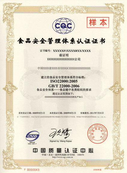 ISO20000中文
