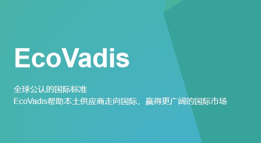 十年数据背后的真相：EcoVadis揭示供应链可持续发展的“分化时代”